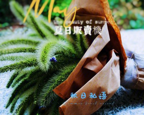 健康路的花语是什么？