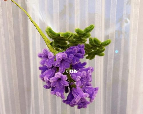 紫色手捧花有哪些特别寓意？