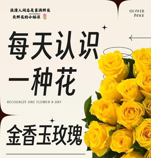 粉色玫瑰绣花的寓意是什么？