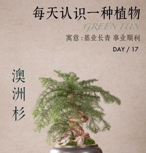 花雨亭的文化意义是什么？它象征着什么？