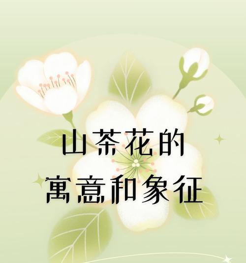 灰色的花及其含义介绍？灰色花卉在花语中的地位如何？