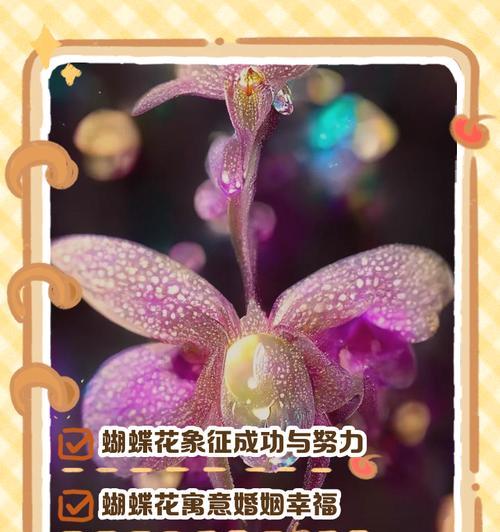 传统花卉有哪些寓意？传统花的象征意义是什么？