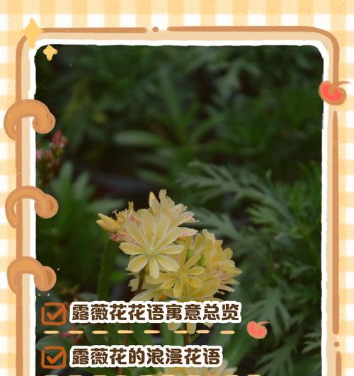 绿色花的花语和寓意是什么？