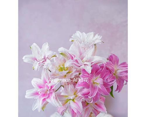 粉色花代表什么？送粉色花的寓意有哪些？