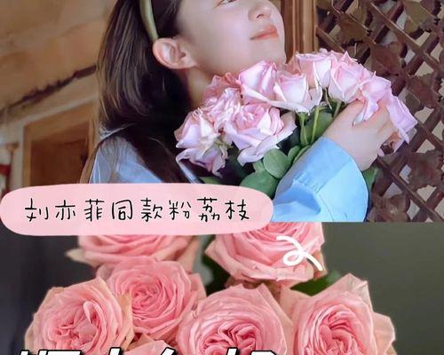 粉色花代表什么？送粉色花的寓意有哪些？