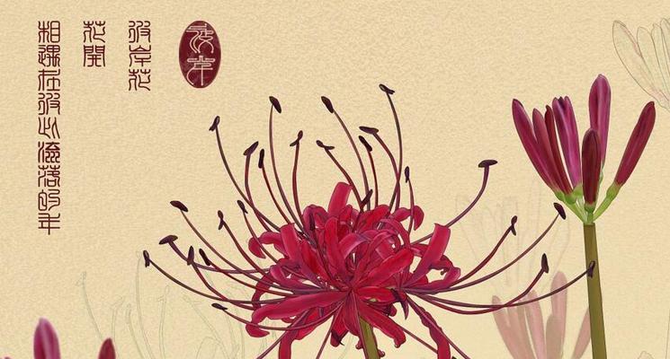 彼岸花寓意吉祥吗？彼岸花的象征意义是什么？