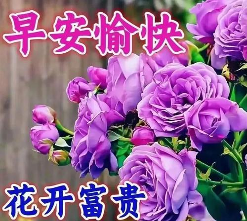 哪种花寓意祝福早日健康？