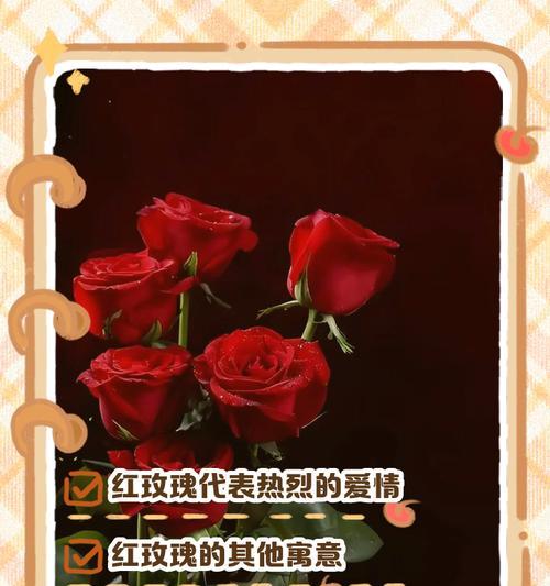 玫瑰花的含义是什么？花语传说有哪些？