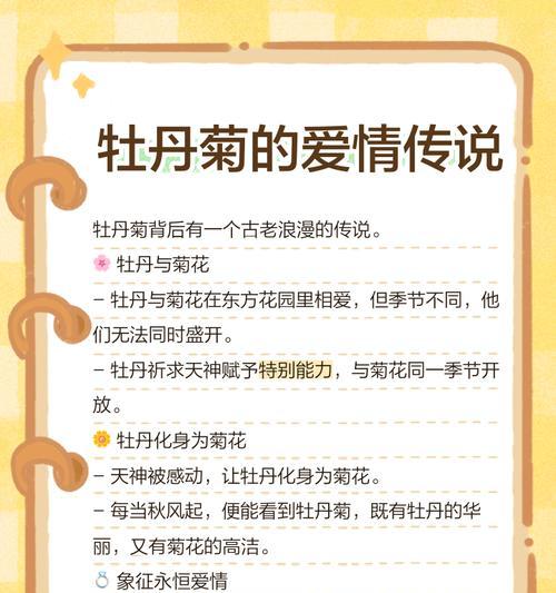 浪漫花语by是什么意思？如何理解浪漫花语by？