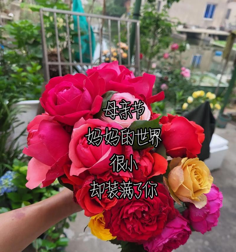花在母亲节中象征了什么？母亲节送花的象征意义是什么？