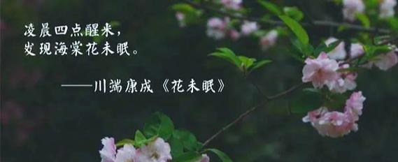 花未眠象征着什么？它与爱情有何关联？