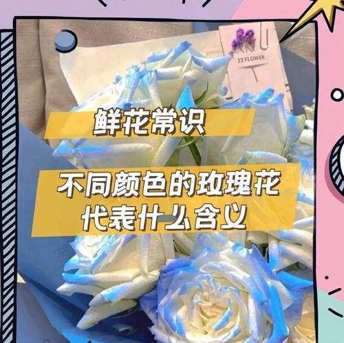 不同颜色的花分别代表什么含义？