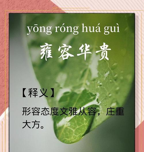 “富贵花和兔子”成语有何寓意？它通常用来形容什么？