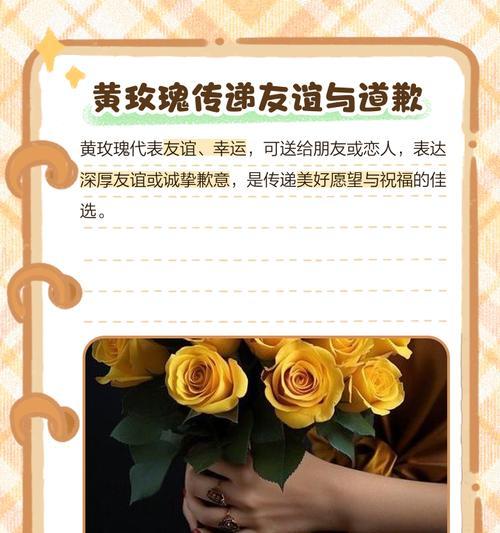 染色玫瑰花代表了什么意义？