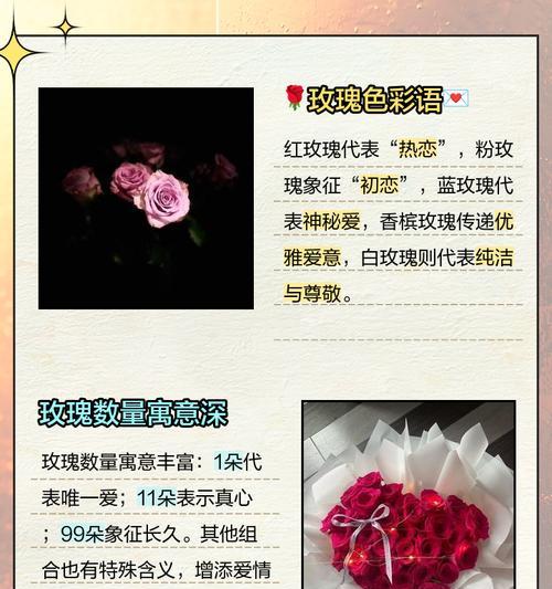 不同颜色玫瑰花的含义分别是什么？
