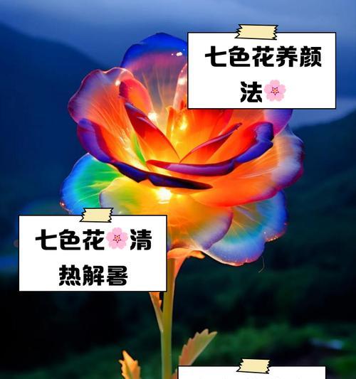 七色玫瑰花代表什么？七色玫瑰花的含义和象征是什么？