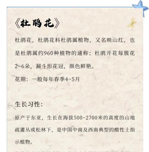 杜鹃花的吉祥寓意是什么？杜鹃花语有哪些？