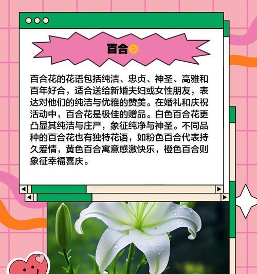 哪种花象征爱情？它的花语和寓意是什么？