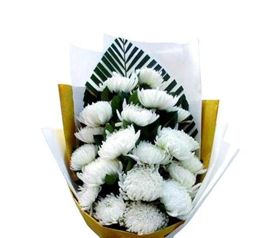 清明节抱几束花有何寓意？