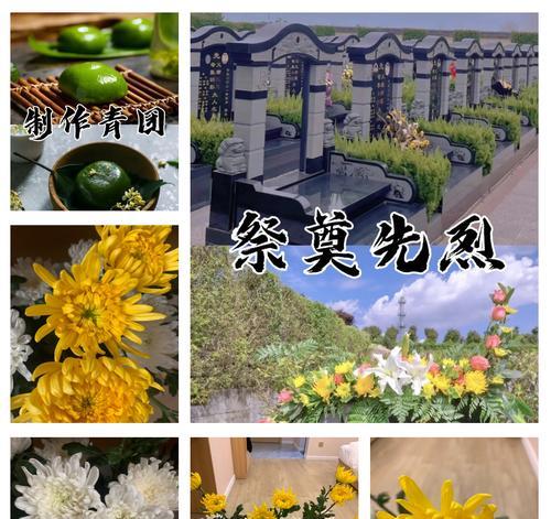 清明节抱几束花有何寓意？