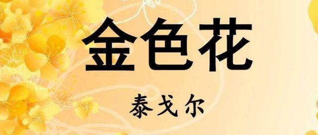 金色花的金色象征着什么？它们代表什么意思？