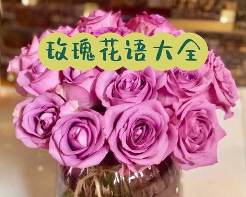 情人节送儿子玫瑰花的含义是什么？儿子情人节玫瑰花语是什么？