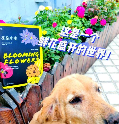 每个季节的花语分别是什么？四季花语有哪些？