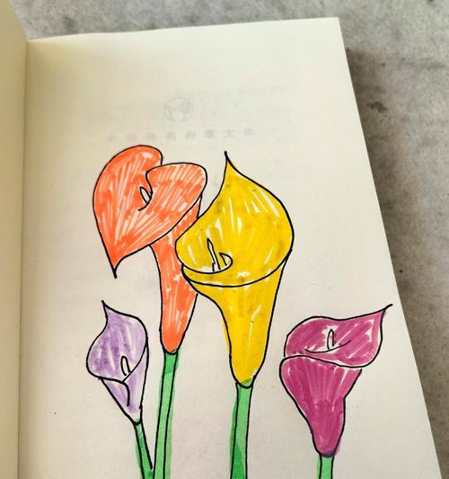 哪种花象征浪漫至死不渝？它的花语是什么？