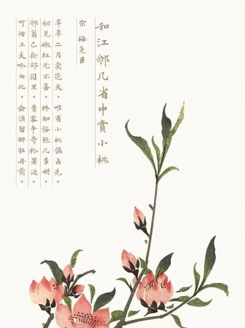 浪漫的花语诗句有哪些？它们的寓意是什么？