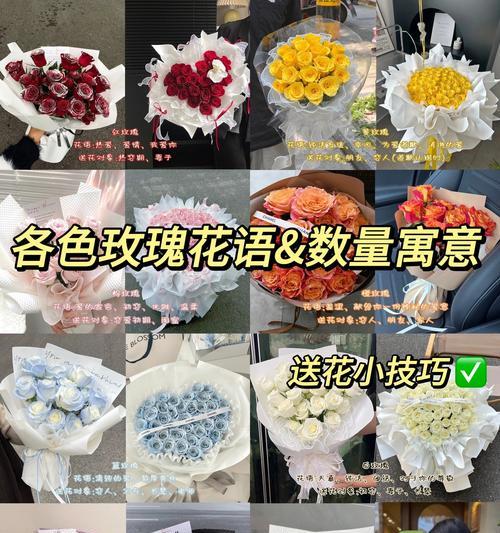 老人送玫瑰花有何含义？国外老人送花的寓意是什么？
