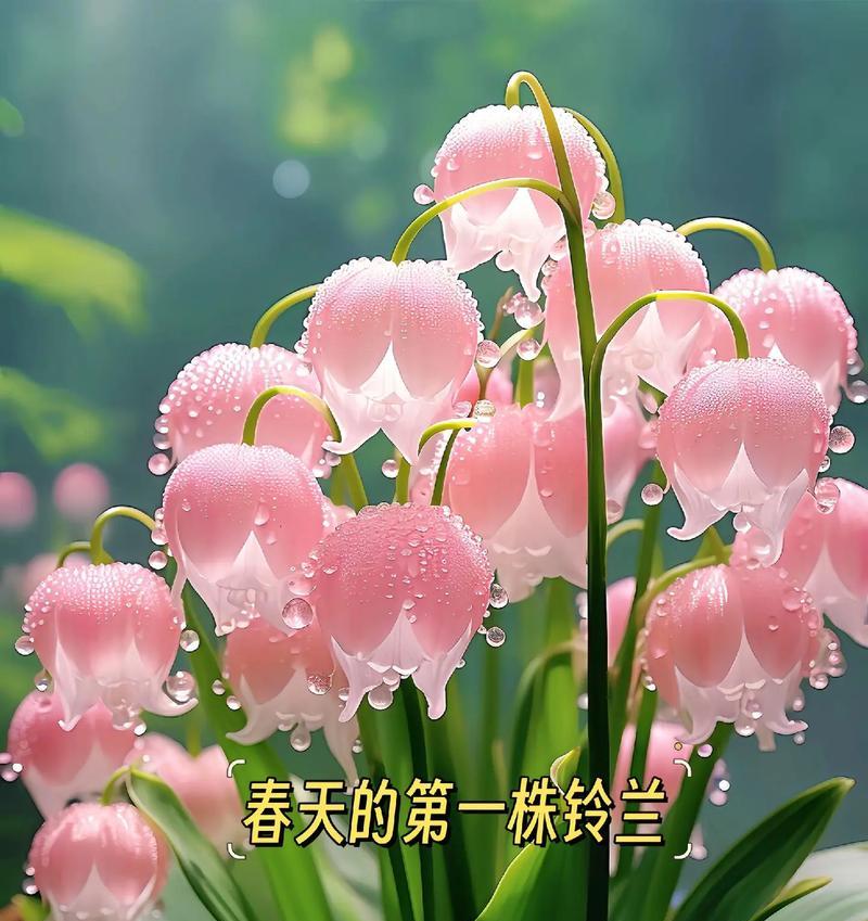 哪些花寓意幸福？幸福花语的含义是什么？