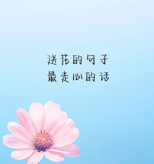 春节送什么花有特殊含义？春节花朵的花语是什么？
