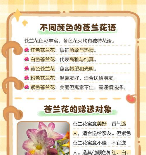 春节送什么花有特殊含义？春节花朵的花语是什么？