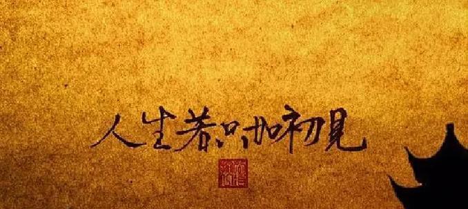 人生之花的含义是什么？花语中细节代表什么？