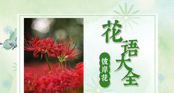 人生之花的含义是什么？花语中细节代表什么？
