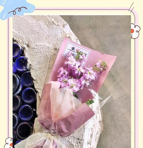 紫罗兰花白色代表什么？白色紫罗兰的花语含义是什么？
