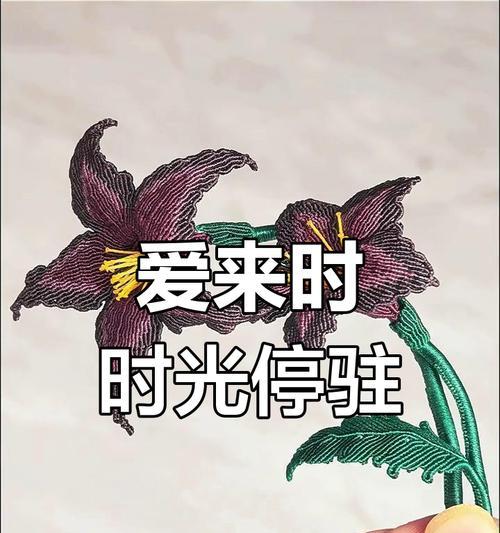 黑色曼陀罗花代表了什么？