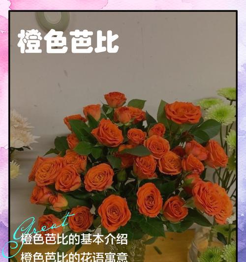 暖色系花语有哪些？它们分别代表了什么？