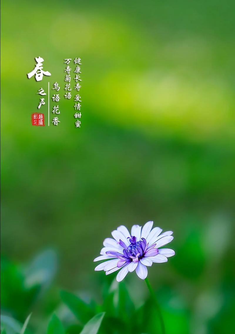 珠峰上生长的哪种花象征爱情？它有何特别之处？