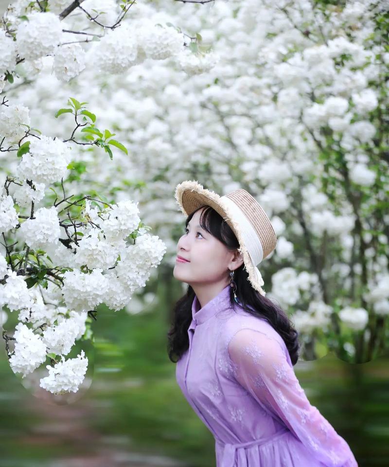 白色的绣球花寓意着什么？它在花语中有什么特别之处？