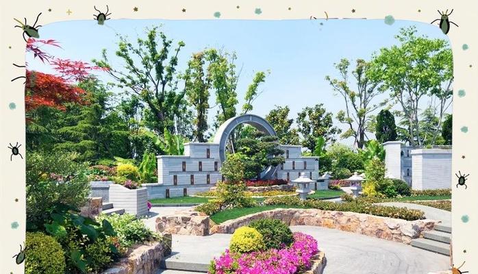 在墓地上哪种花象征着爱情？