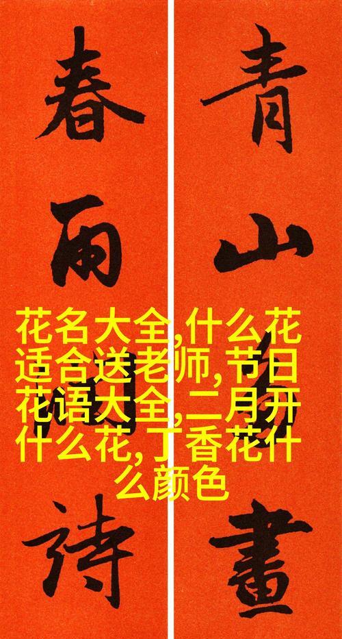 春节期间花卉的花语是什么？春节送花有哪些特别含义？