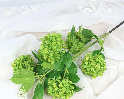 白色雪球花代表了什么？