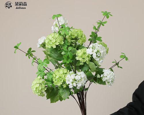 白色雪球花代表了什么？