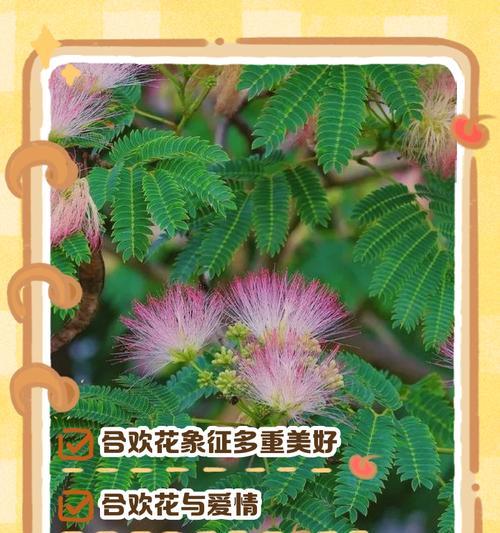 不同颜色的花代表什么意义和花语？