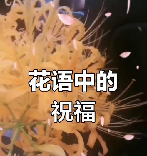 淡黄色的花象征什么？它们在花语中代表什么意义？