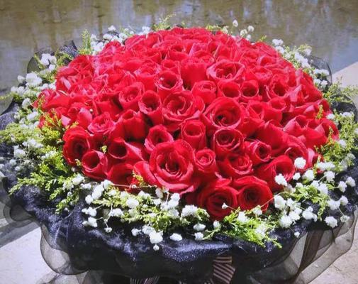 99朵多色玫瑰代表什么？多色玫瑰花的含义是什么？