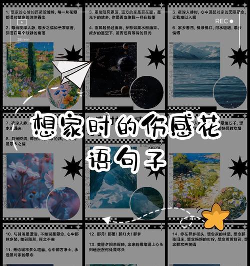 悲伤爱情的花语有哪些句子？它们代表了什么？
