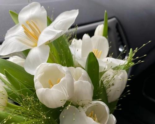 手捧花分成四束代表什么含义？