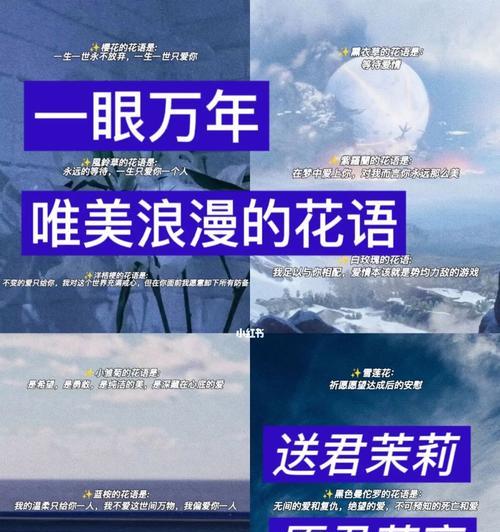 浪漫花语套件的花语是什么？